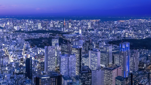 航空写真（2019年12月撮影）